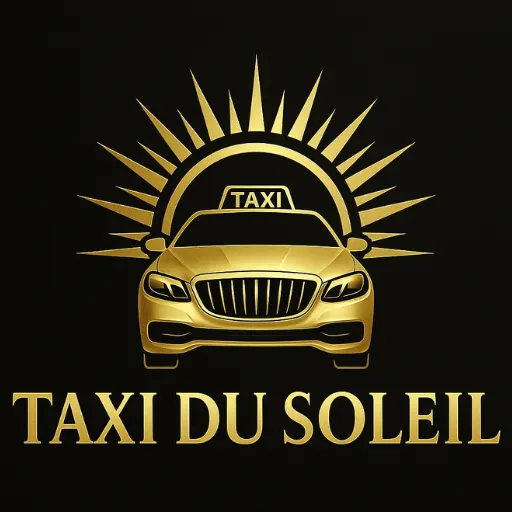 Logo texte Taxi du Soleil doré fond noir